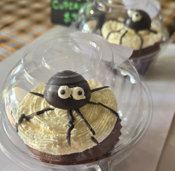 Spider Cupcakes